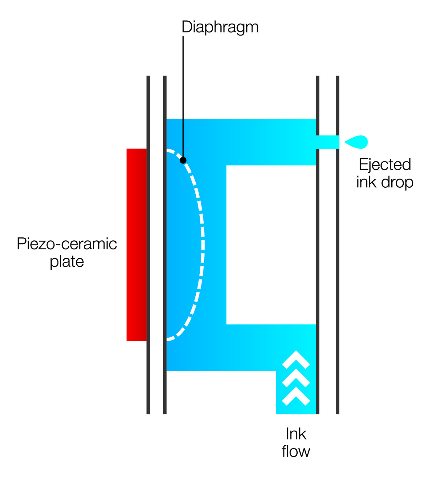 05 Xaar bend mode piezo