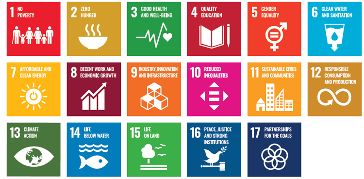 Una introducción a los Objetivos de Desarrollo Sostenible de la ONU