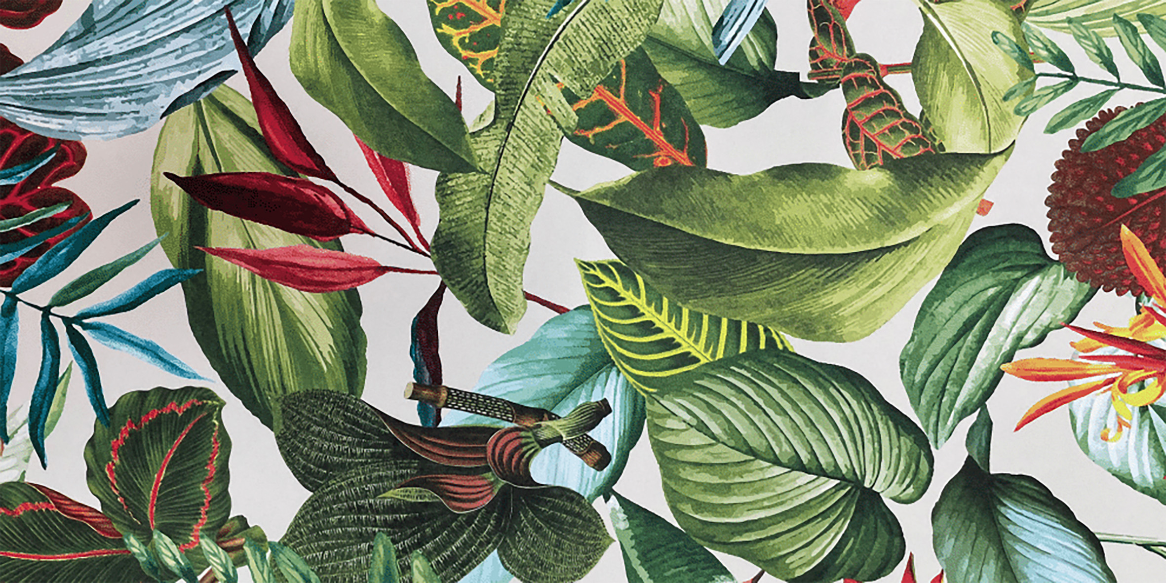 Why digital printed wallcoverings are set for dynamic growth