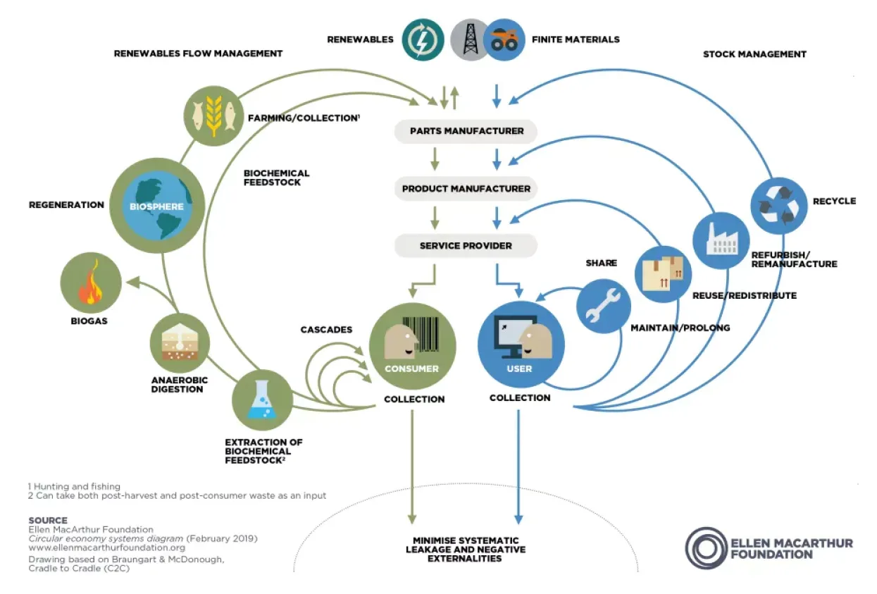 Butterfly-Infographic