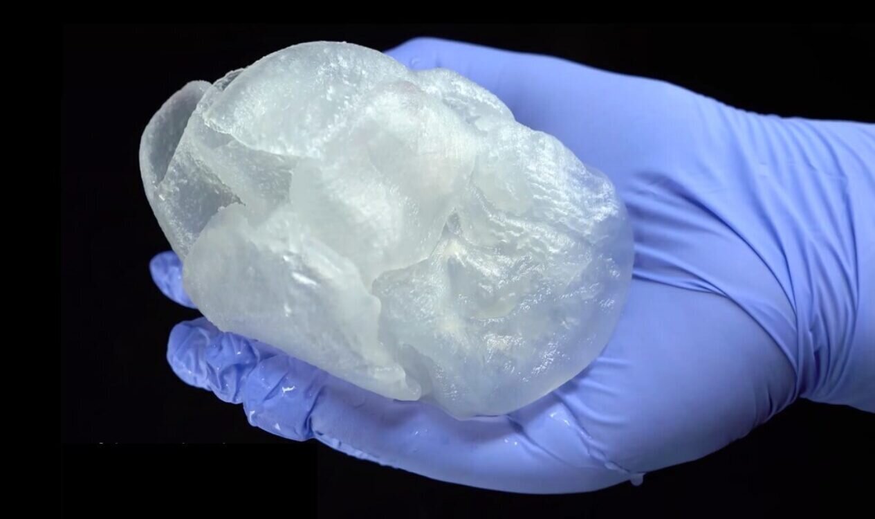 Carnegie Mellon University 3D Heart