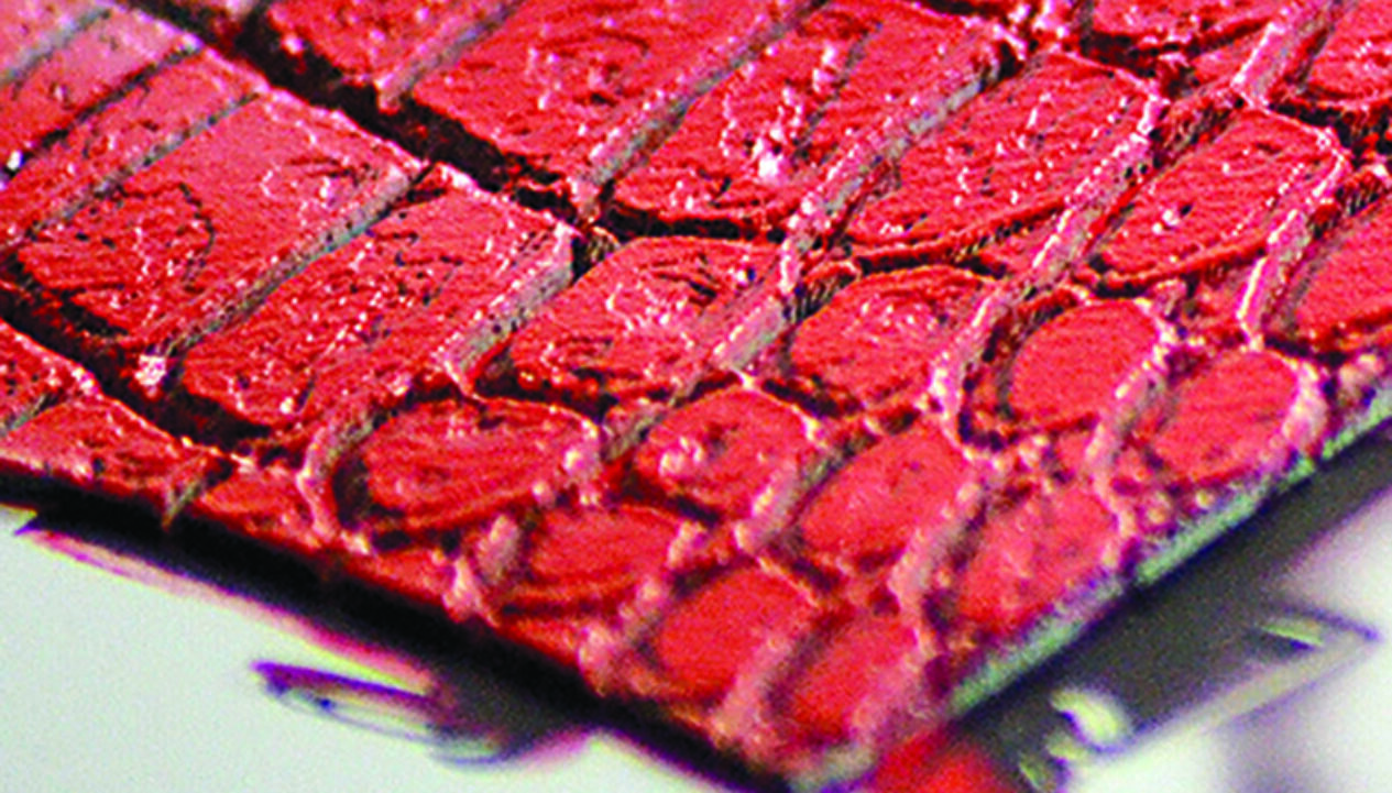 Mimaki_Leder_790px