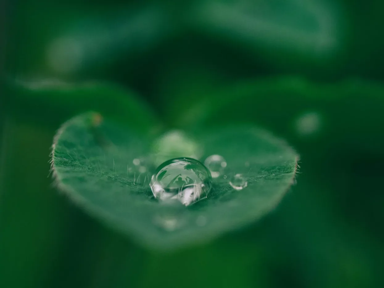 aaron-burden-dXYE1d08BiY-unsplash