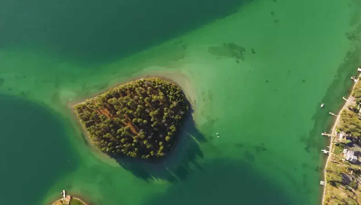 water-usage-saving
