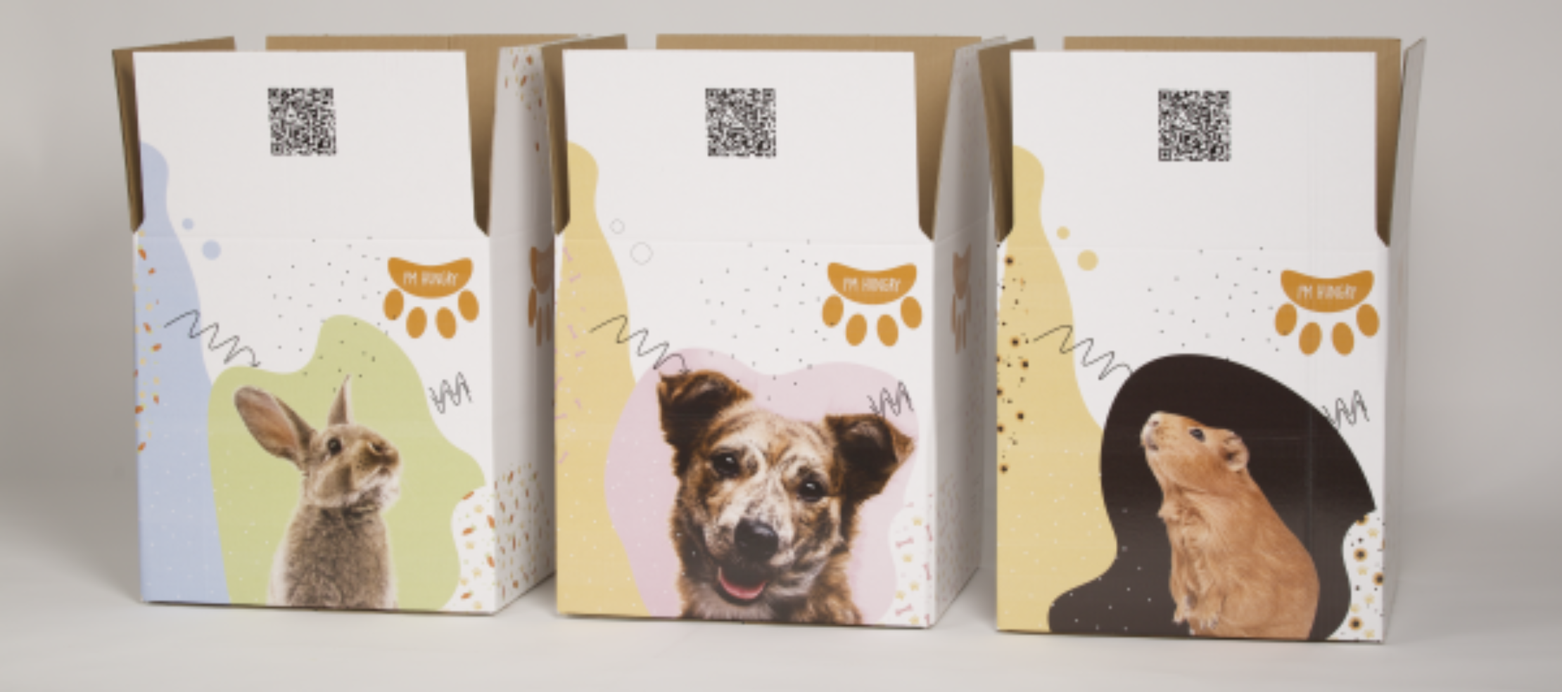 Pet-Food-e1716474011903